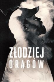 Złodziej dragów