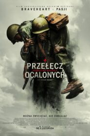 Przełęcz ocalonych 2016 film online