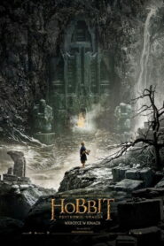 Hobbit: Pustkowie Smauga 2013 film online