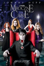 Mroczne cienie 2012 film online