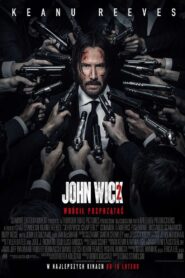 John Wick 2 2017 film online