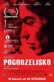 Pogorzelisko 2010 film online