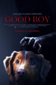 Good boy 2025 film online