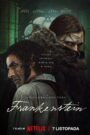 Frankenstein 2025 film online